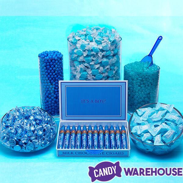 2lbs Light Blue Jelly Beans Candy - Blue Raspberry (approximately 800 Pcs)