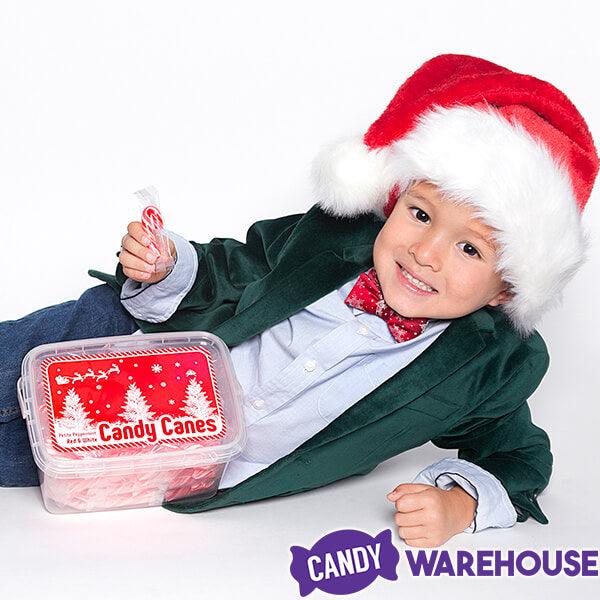 http://www.candywarehouse.com/cdn/shop/files/mini-candy-canes-red-and-white-100-piece-tub-candy-warehouse-3.jpg?v=1689316273