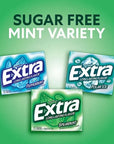 EXTRA Mint Sugar Free Chewing Gum Variety Pack: 18 Pack