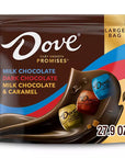 Dove Chocolate Squares Assortment: 98-Piece Bag