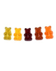 Lady May Sweets Sugar-Free Vegan Gourmet Gummi Teddies Mixed Fruit