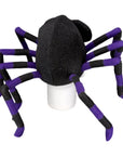 Spider Hat