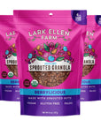 Lark Ellen Farm Berrylicious Sprouted Granola (Grainfree)