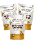 Lark Ellen Farm Organic Sprouted Cashews (Unsalted)