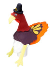 Thanksgiving Turkey Hat