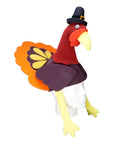 Thanksgiving Turkey Hat