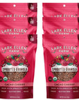 Lark Ellen Farm Cacao Cherry Sprouted Granola (Grainfree)