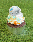 Sprinkle Pop Pro-Football Cupcake Rings