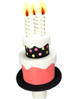 Special Birthday Cake Hat