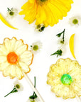 Pure Sugar Candy Daisies Lollipops