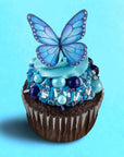 Sprinkle Pop Blue Butterfly Edible Cupcake Toppers