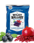 Wiley Wallaby Berrylicious: 12-Pack-Candy Warehouse