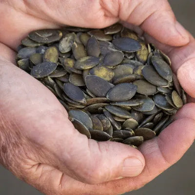 Lark Ellen Farm Sprouted Styrian Pumpkin Seeds. Organic