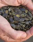 Lark Ellen Farm Sprouted Styrian Pumpkin Seeds. Organic