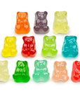 Albanese Cubs 12-Flavors Baby Gummy Bears: 5LB Bag - Candy Warehouse