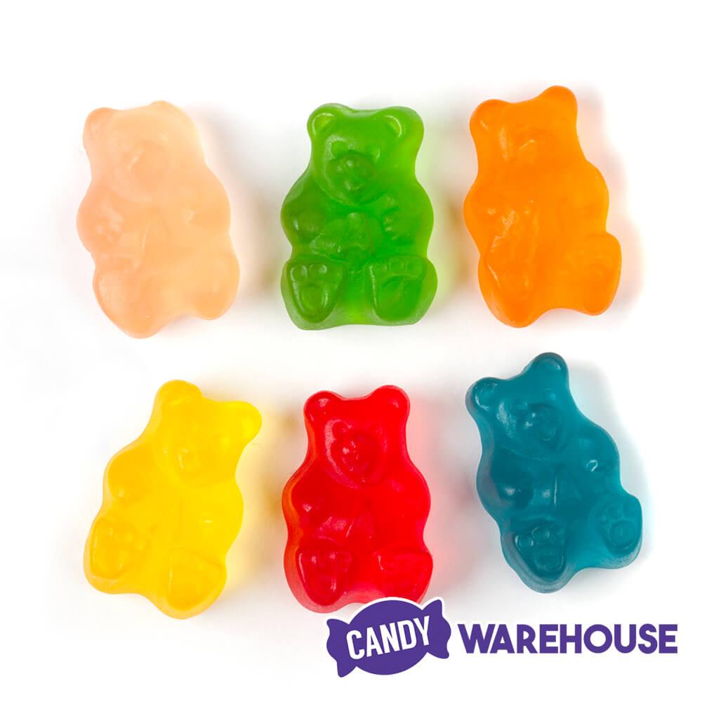 Albanese Gourmet 12-Flavors Gummy Bears: 5LB Bag - Candy Warehouse