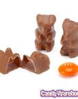 Albanese Milk Chocolate Covered Gummy Bears: 2.25LB Tub - Candy Warehouse