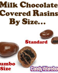 Albanese Milk Chocolate Covered Raisins Candy - Jumbo: 5LB Bag