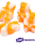 Albanese Orange Cream Bearsicles Gummy Bears: 5LB Bag