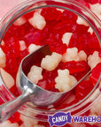 Albanese Red & White Valentine Gummy Bears: 5LB Bag