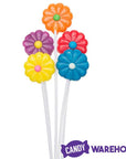 Albert's Daisy Pops Candy Flowers Lollipop Bouquets: 12-Piece Display - Candy Warehouse