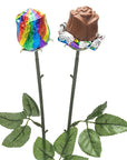 Albert's Foiled Milk Chocolate Roses - Rainbow: 20-Piece Bouquet - Candy Warehouse