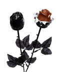 Albert's Halloween Gothic Black Chocolate Roses: 18-Piece Box