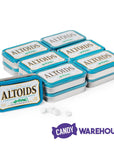 Altoids Mints Tins - Wintergreen: 12-Piece Box