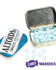 Altoids Smalls Mint Tins - Wintergreen: 9-Piece Box - Candy Warehouse