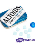 Altoids Smalls Mint Tins - Wintergreen: 9-Piece Box - Candy Warehouse