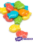 Aquarium Fish Tangy Candy: 2LB Bag