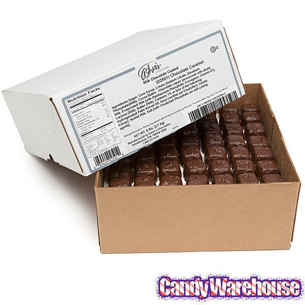 Asher's Chocolate Covered Chocolate Caramels - Milk: 6LB Box - Candy Warehouse