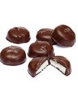 Asher's Chocolate Double Dipped Mint Patties: 6LB Box - Candy Warehouse