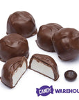 Asher's Sugar Free Vanilla Marshmallow Chocolates - Milk: 5LB Box