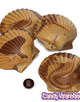 Asher's Swirled Milk Chocolate and Peanut Butter Sea Shells Candy: 64-Piece Box - Candy Warehouse