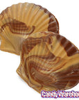 Asher's Swirled Milk Chocolate and Peanut Butter Sea Shells Candy: 64-Piece Box - Candy Warehouse