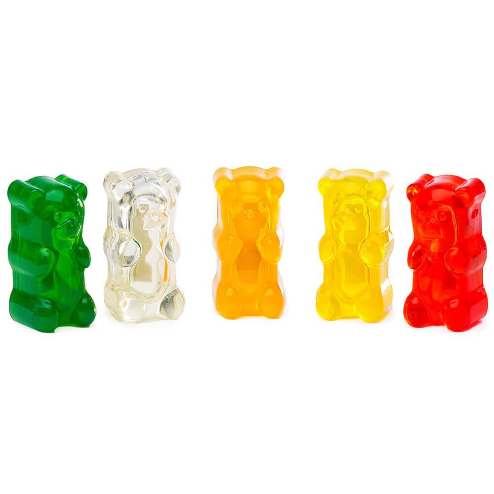 Assorted Gummy Bear Magnets: 5-Piece Pack - Candy Warehouse