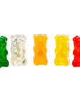 Assorted Gummy Bear Magnets: 5-Piece Pack - Candy Warehouse