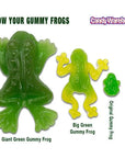 Big Green Gummy Frogs Candy: 5LB Bag