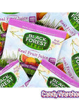 Black Forest Spring Fruit Snack Packs: 28-Piece Box - Candy Warehouse