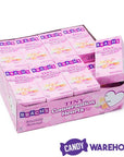 Brach's Conversation Hearts Candy Packs: 24-Piece Box - Candy Warehouse