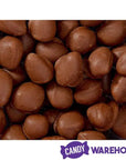 Brach's Double Dippers Milk Chocolate Covered Peanuts: 12-Ounce Bag