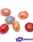 Brach's Fruit Fusion Speckled Jelly Beans: 13-Ounce Bag - Candy Warehouse