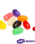 Brach's Jumbo Jelly Beans: 13-Ounce Bag - Candy Warehouse