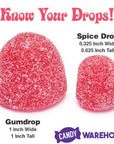 Brach's Spice Drops Candy: 1.5LB Bag - Candy Warehouse