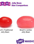 Brach's Traditional Jelly Bird Eggs Candy: 30-Ounce Bag - Candy Warehouse