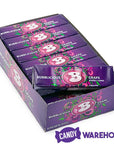 Bubblicious Bubble Gum Packs - Grape: 18-Piece Box - Candy Warehouse