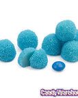 Bumplettes Beaded Gumdrops - Blue Raspberry: 5LB Bag - Candy Warehouse