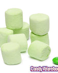 Campfire Mallow Bursts Marshmallows - Key Lime: 8-Ounce Bag - Candy Warehouse