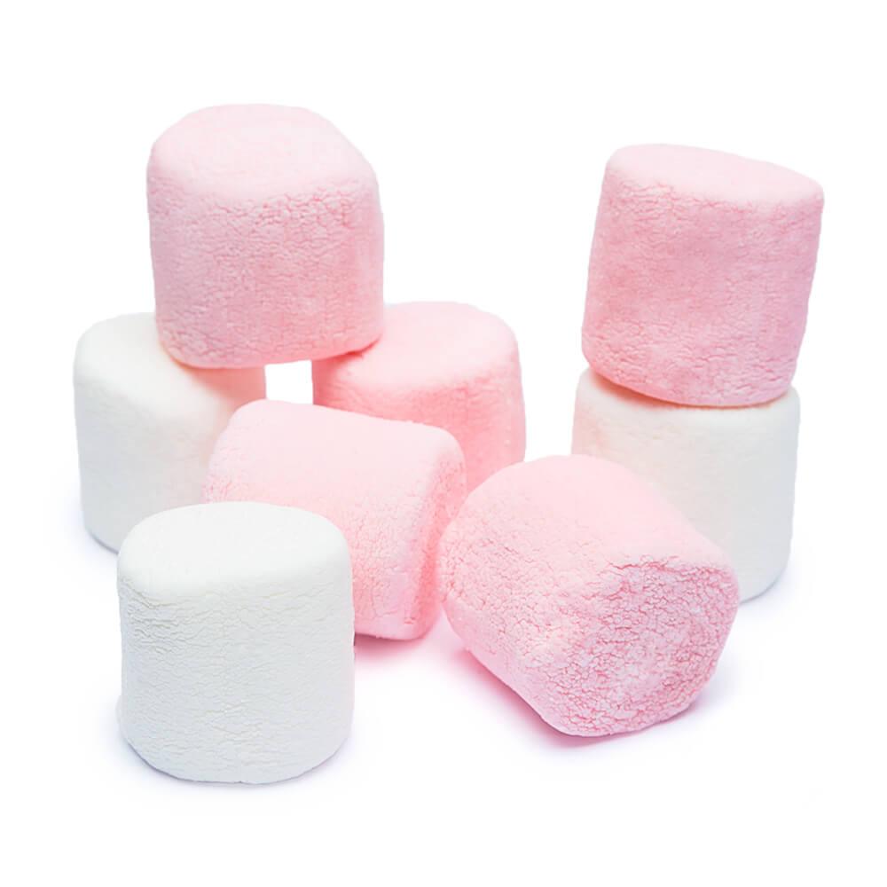 Campfire Tutti Frutti Marshmallows: 10-Ounce Bag | Candy Warehouse